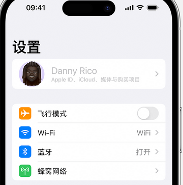 通州appleID维修服务iPhone设置中Apple ID显示为灰色无法使用 