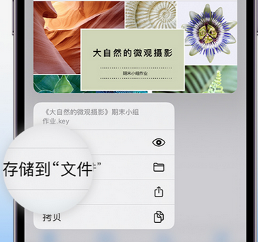 通州apple维修中心分享iPhone文件应用中存储和找到下载文件