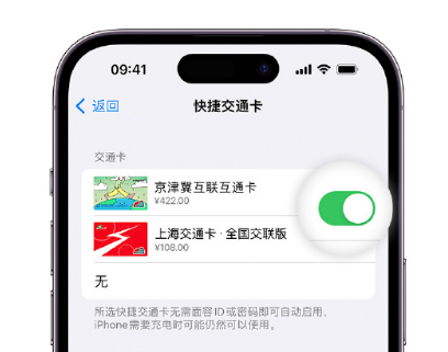 通州apple维修点分享iPhone上更换Apple Pay快捷交通卡手绘卡面 