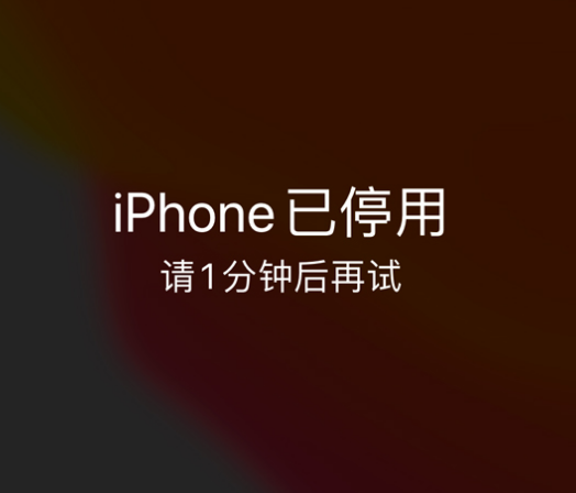 通州苹果手机维修分享:iPhone 显示“不可用”或“已停用”怎么办？还能保留数据吗？ 