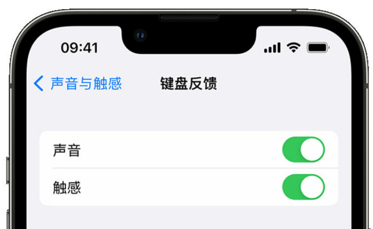 通州苹果手机维修分享iPhone 14触感键盘使用方法 