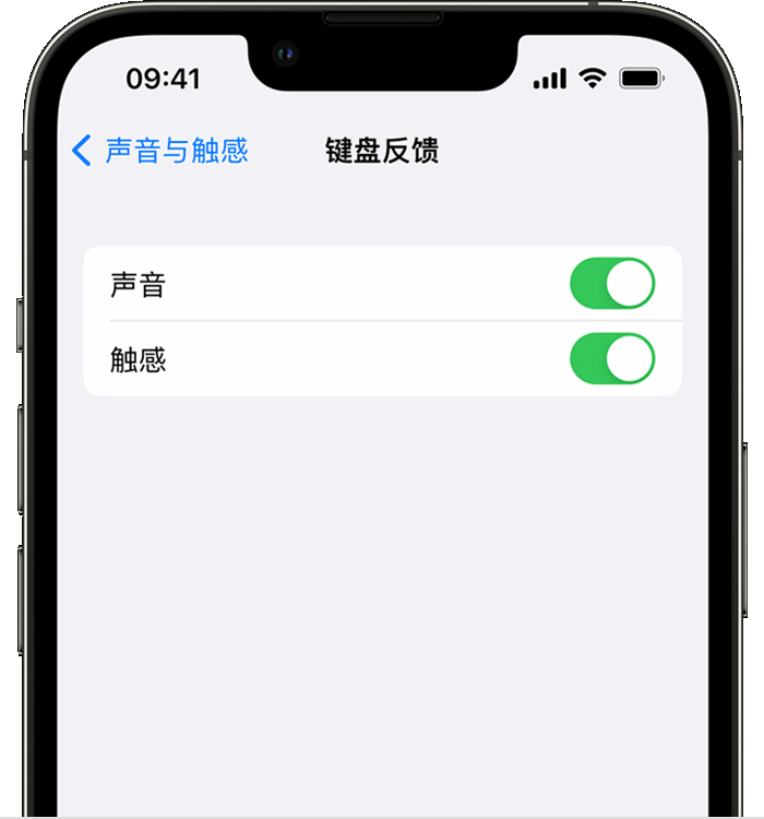 通州苹果14维修店分享如何在 iPhone 14 机型中使用触感键盘 