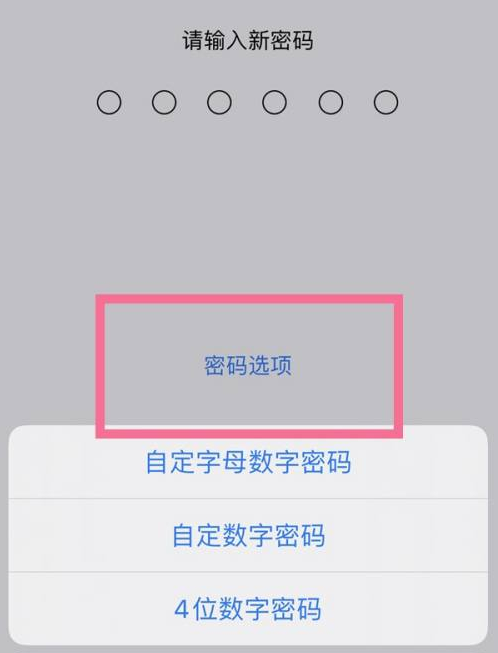 通州苹果14维修分享iPhone 14plus设置密码的方法 