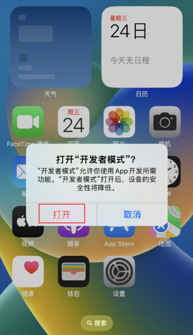 通州苹果手机维修分享如何打开开发者模式 