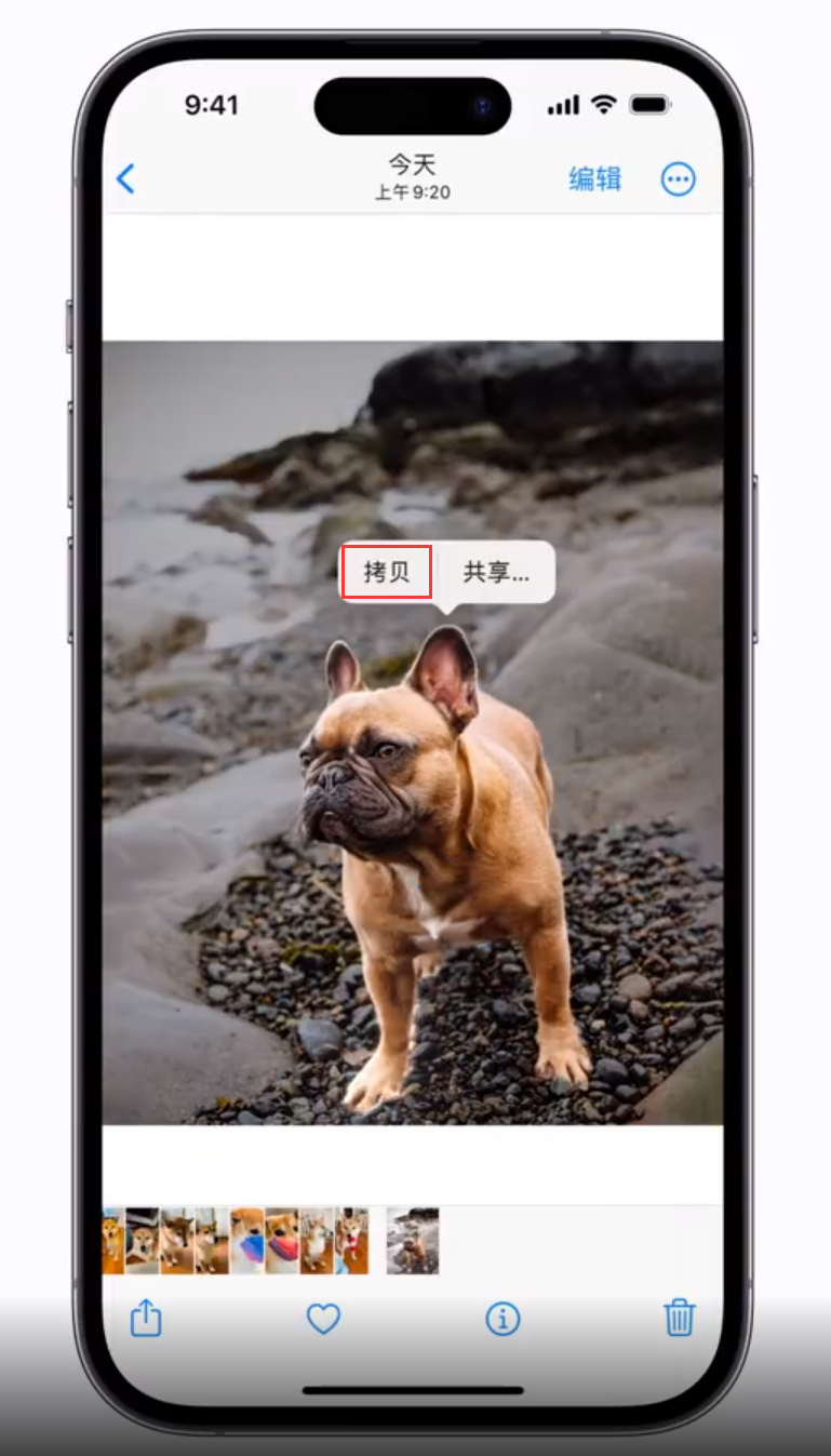 通州苹果手机维修分享 iOS 16 自带一键抠图功能 