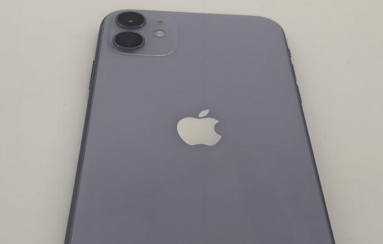 通州苹果11系统维修分享iPhone11手机系统崩溃无法开机如何解决 
